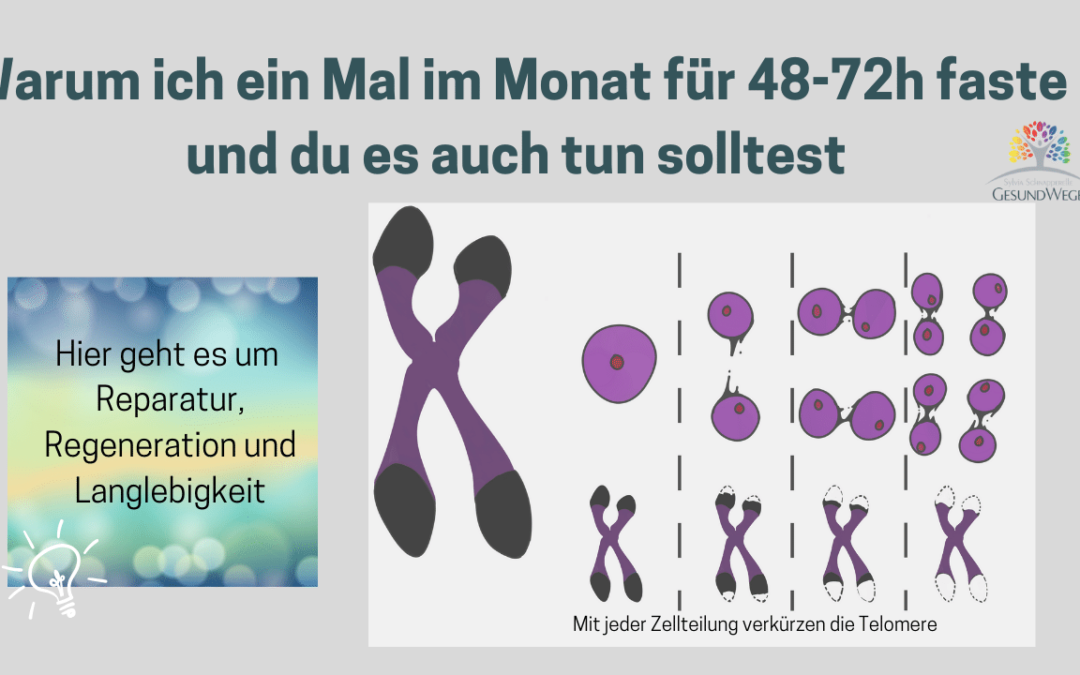 Warum ich es liebe, ein Mal im Monat 48-72h zu fasten