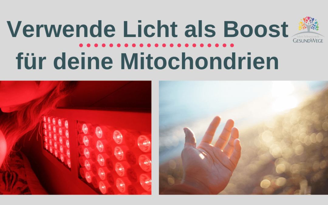 Mitochondrien stärken mit Infrarot Licht