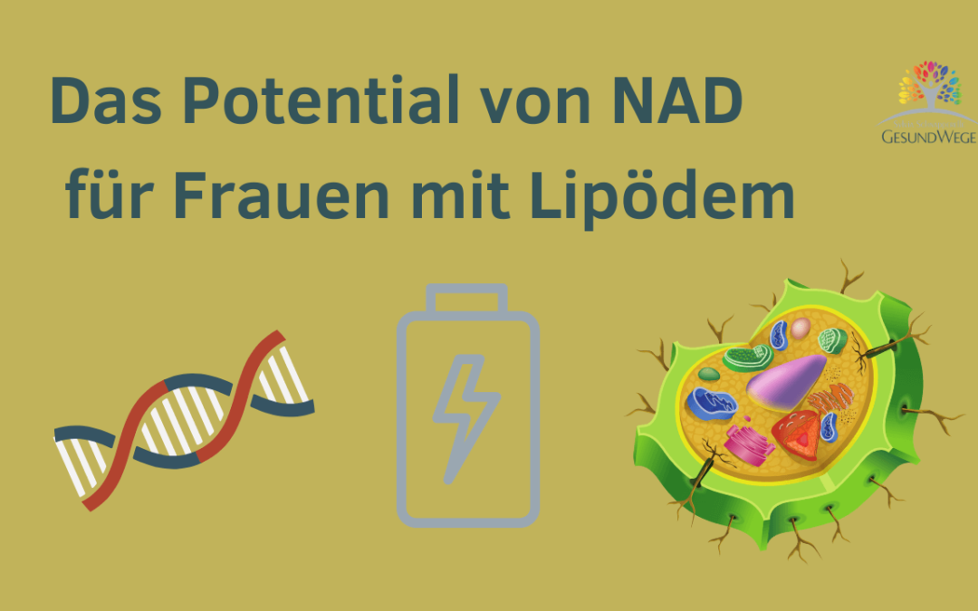 NAD Potential für Frauen mit Lipödem