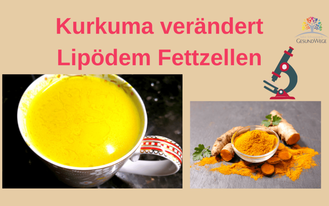 Kurkuma beeinflusst Lipödem Fettzellen