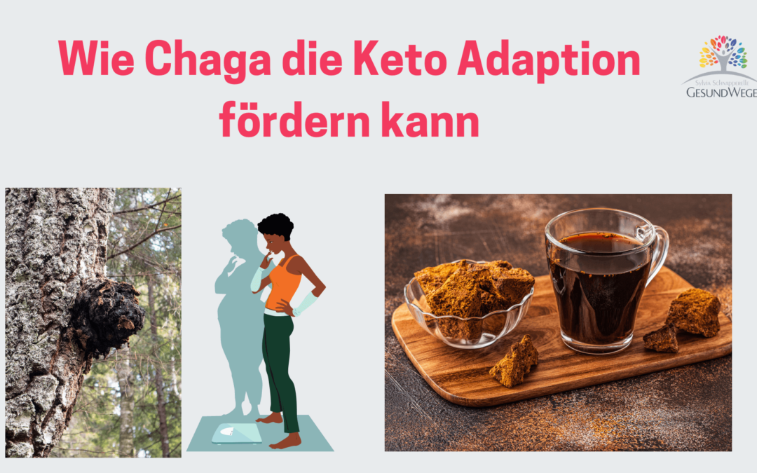 Mit Chaga Tee die Keto Adaption fördern